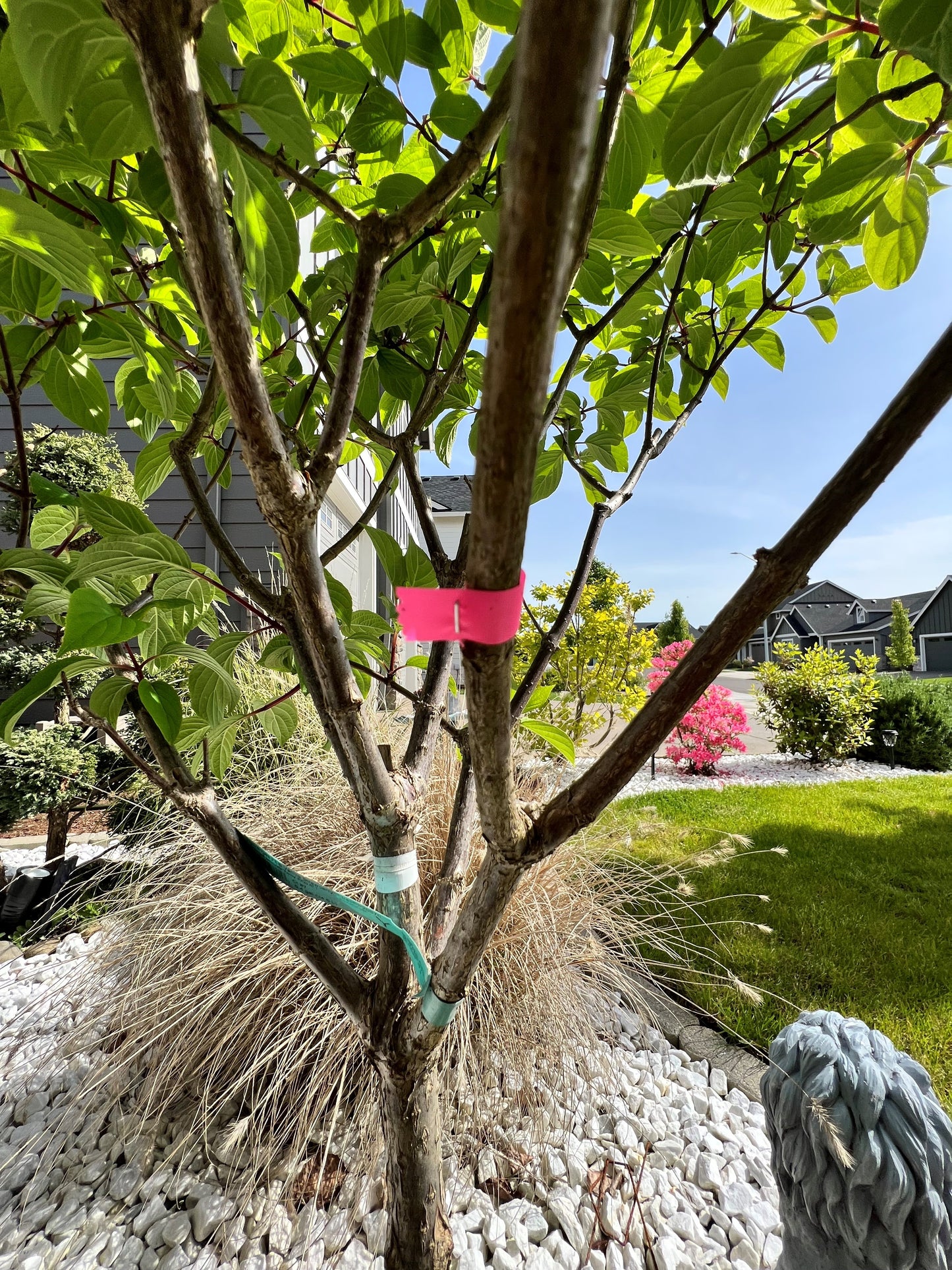 MAX Tapener Flagging Tape Large Roll