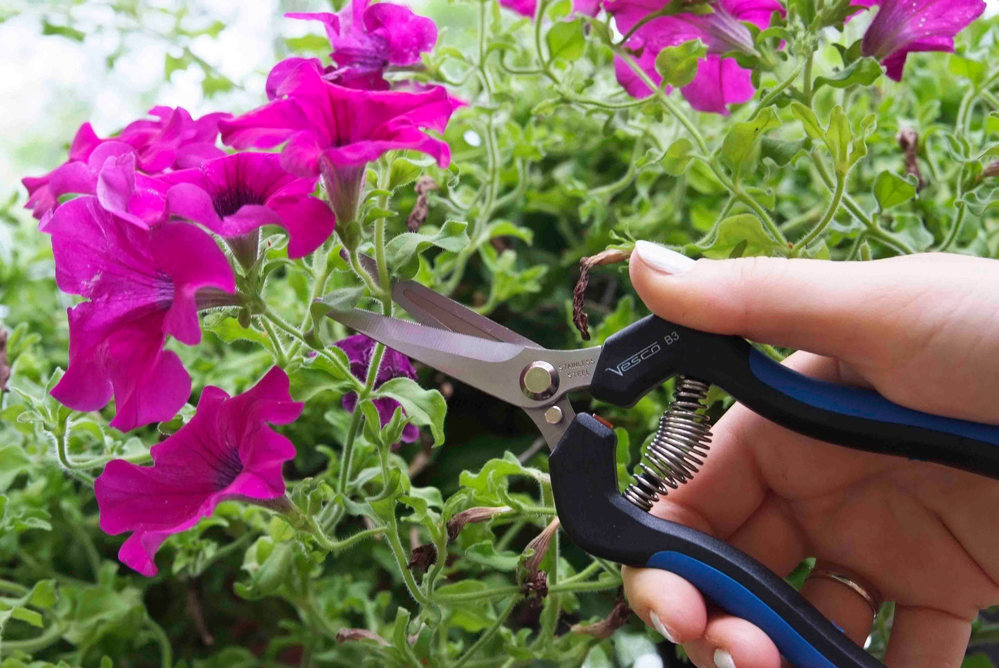 VESCO B3 Curved Long Blade Serrated Harvest Shear