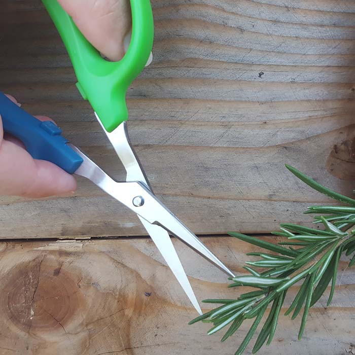 The Green Scissor SPX420 Straight Blade