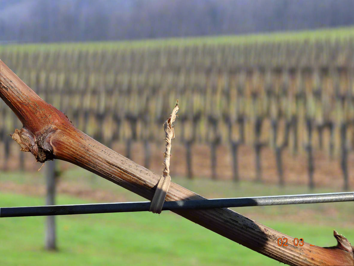 SANVER Brown Paper Twist Tie Biodegradable 820 ft Roll