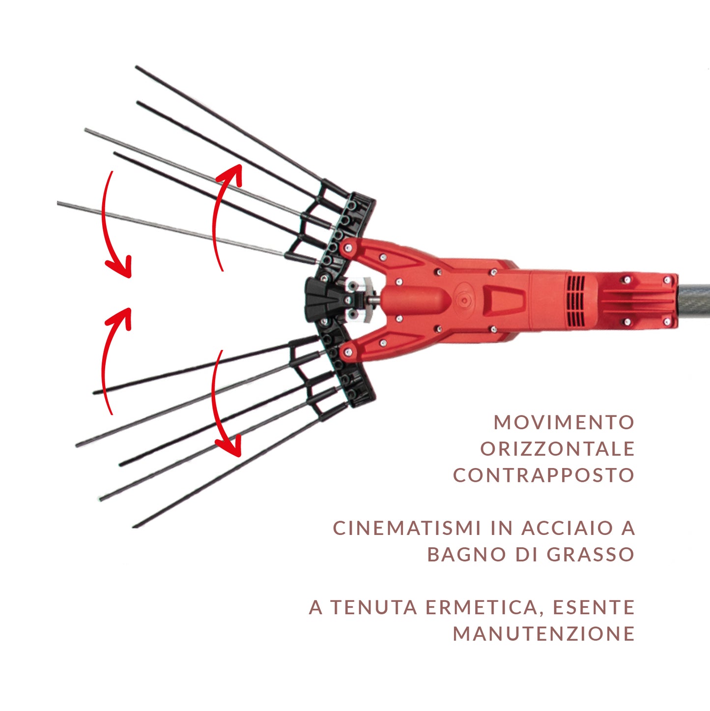 Electric Olive Harvest Rake NAOMI Premium with Carbon Telescopic Tube