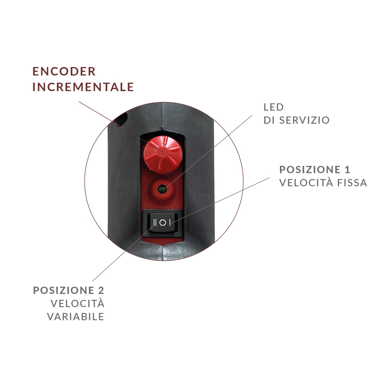 Electric Olive Harvest Rake VIPER Performance with Carbon Telescopic Tube