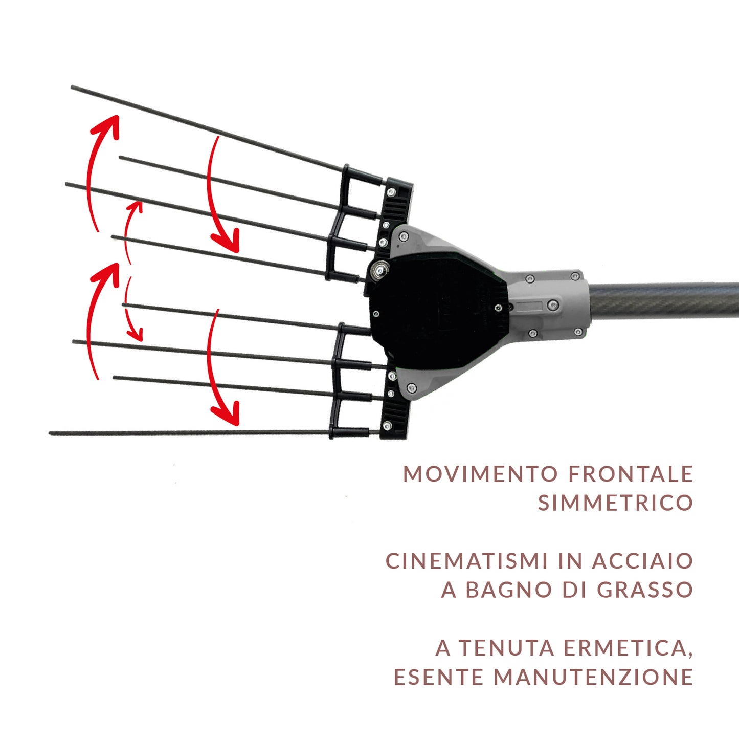 Electric Olive Harvest Rake VIPER Performance with Carbon Telescopic Tube