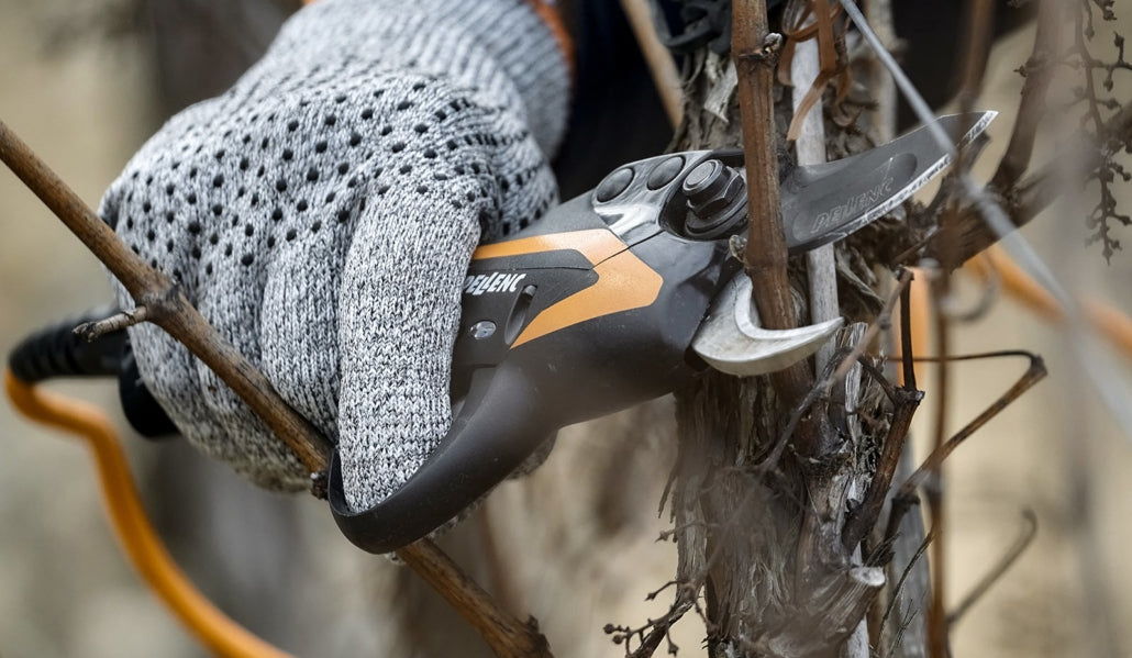 Pellenc Vine Pruning Shears Model C35