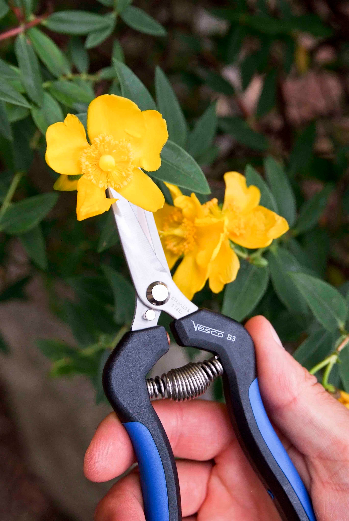 VESCO B3 Curved Long Blade Serrated Harvest Shear