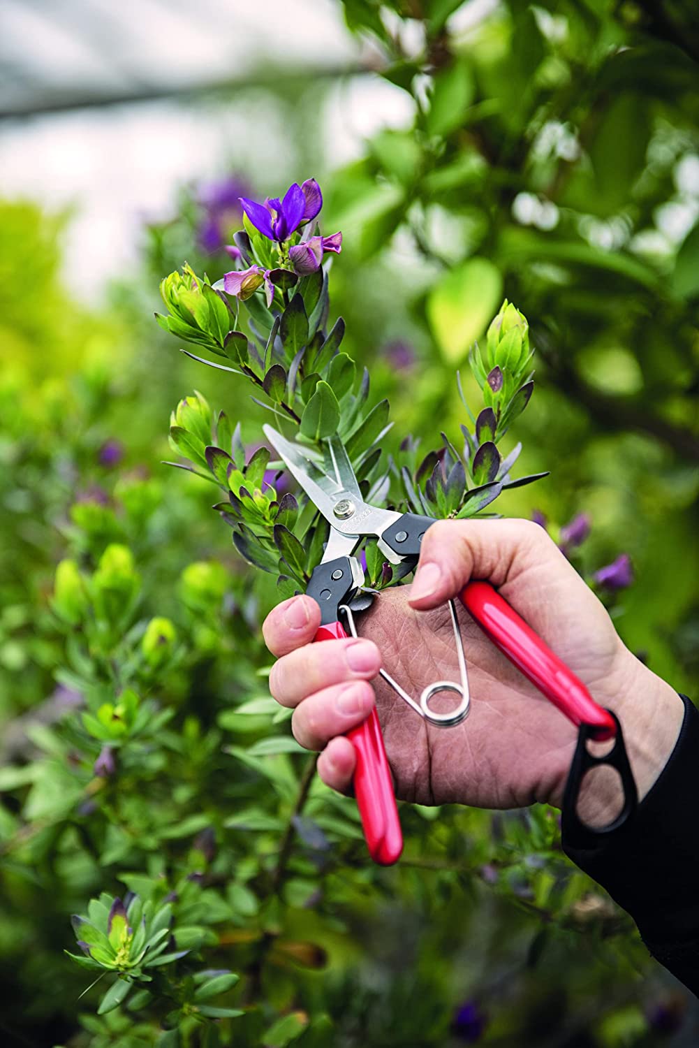 Felco Harvest Snip 322