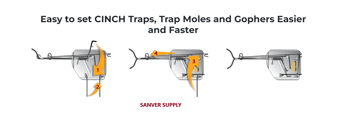 Cinch Gopher Trap Medium Size C601 Case of 12