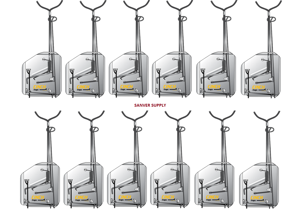 CINCH Mole Trap Case of 12pcs