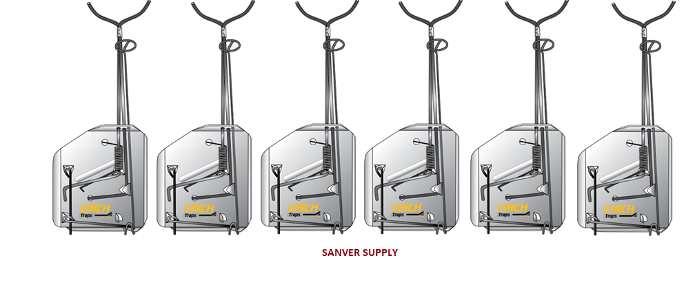 CINCH Gopher Trap LARGE Size C602 Case of 12