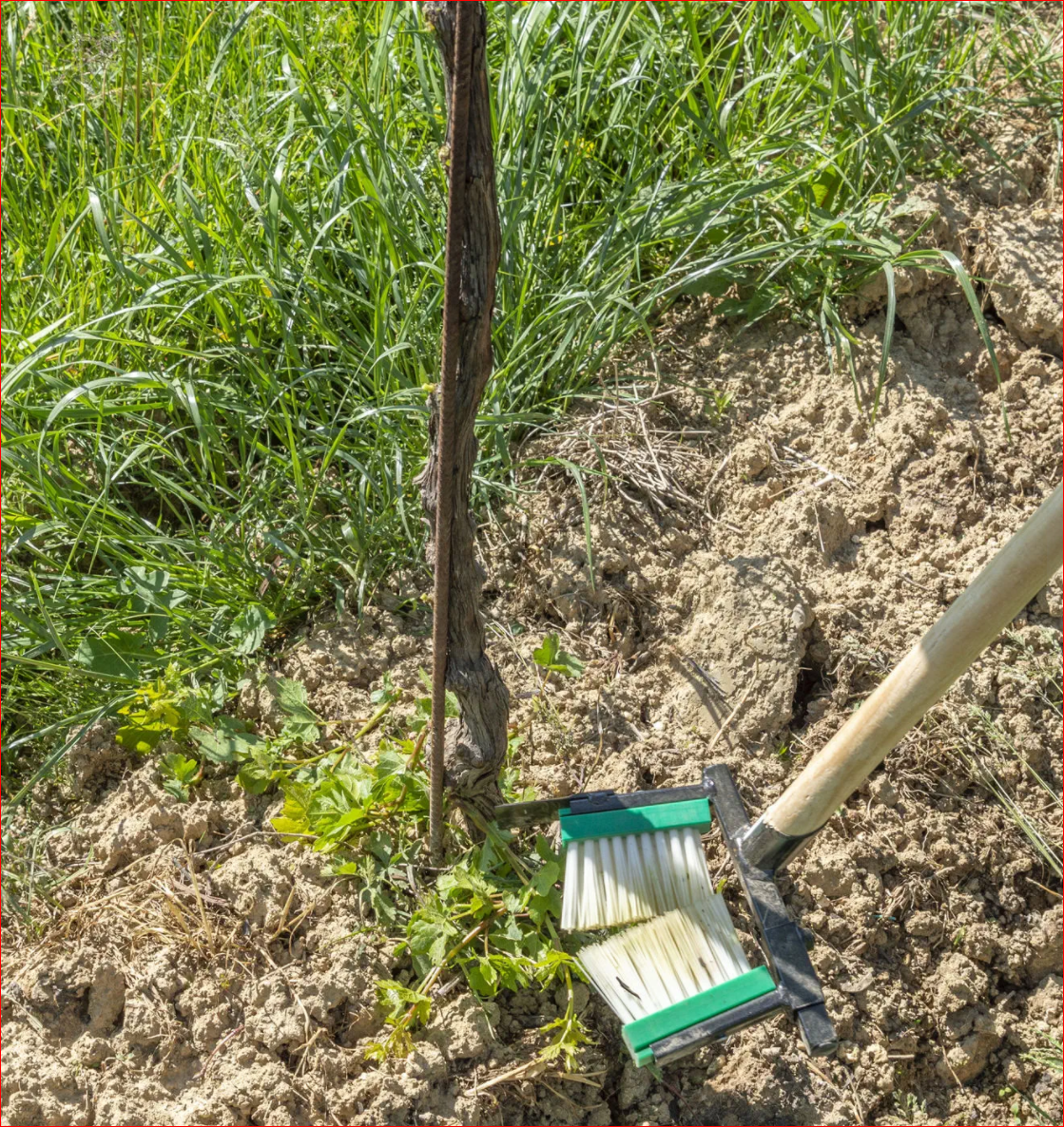 Plant Shoot Remover Tool