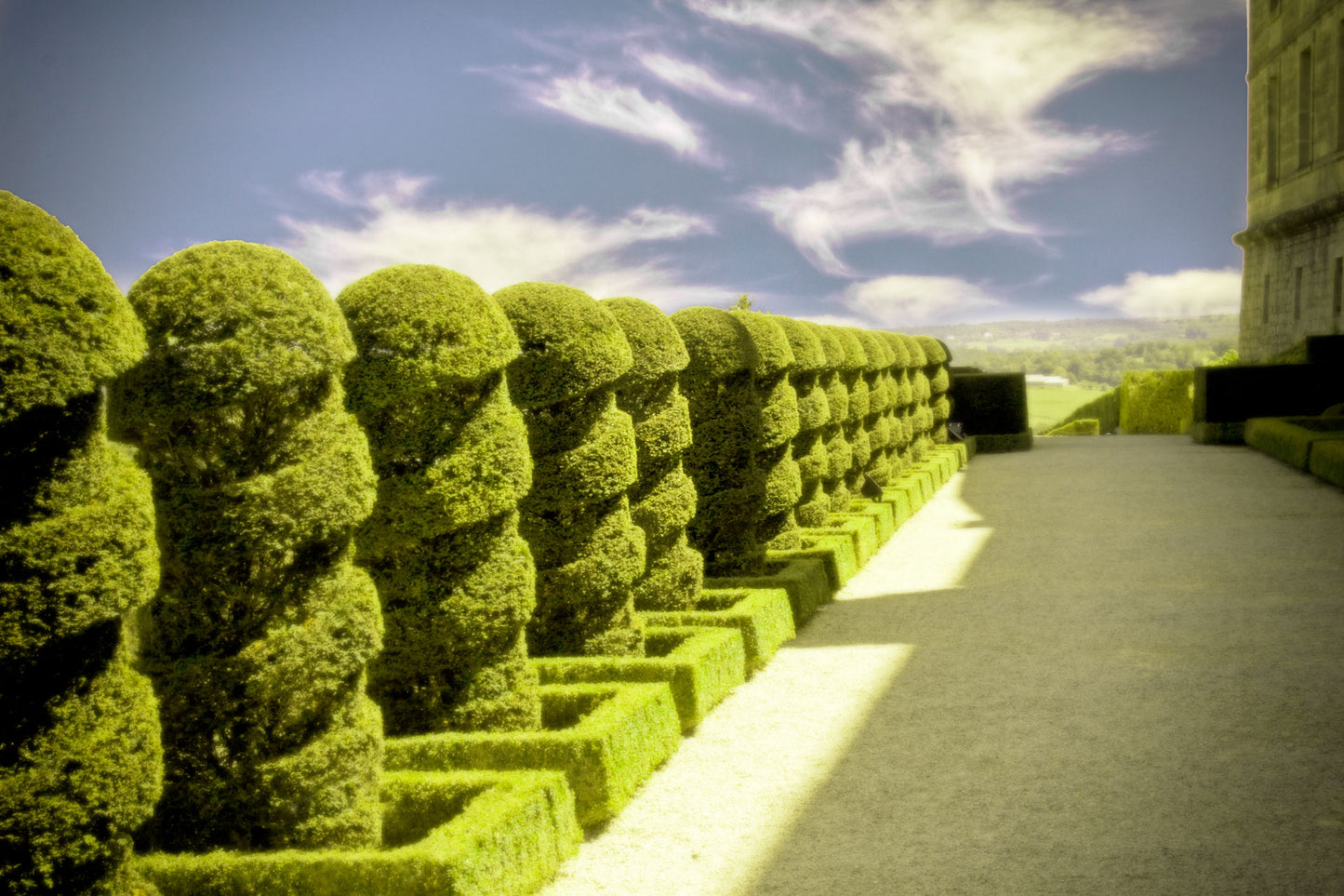 VESCO S2 Professional Hedge Shear (22")