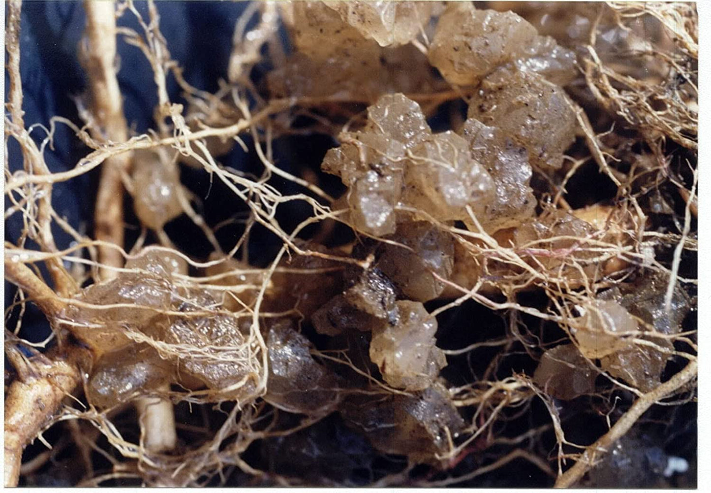 Soil Moist Synthetic Polymer Moisture Control 8 lb Pail