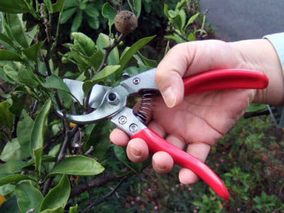 ARS Hand Pruner VS-8Z Economy M Size