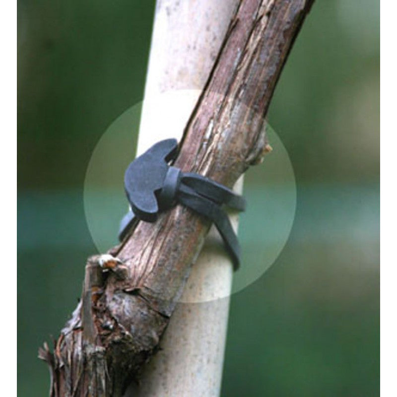 Bandofix Rubber Anchor Bands