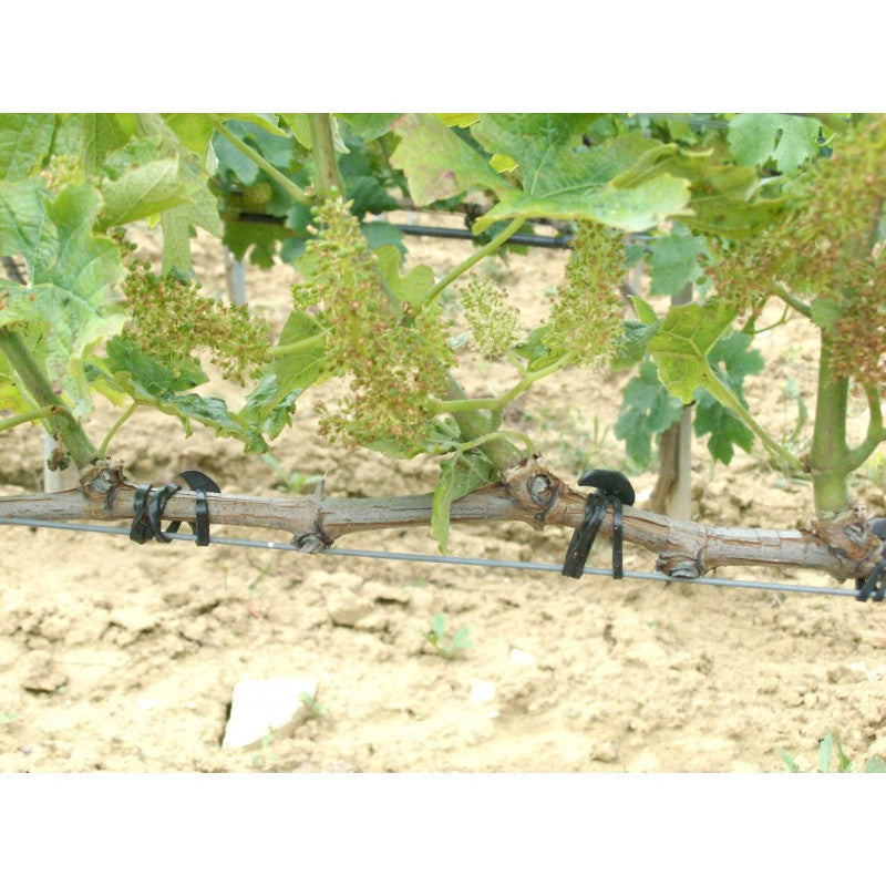 Bandofix Rubber Anchor Bands