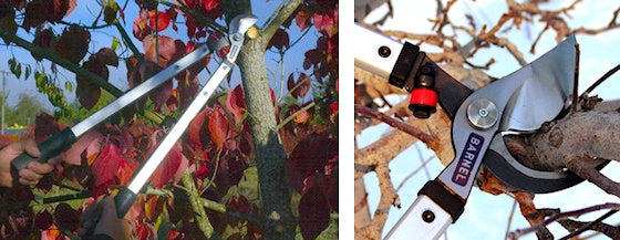 Barnel Professional Orchard Aluminum Handle Lopper OR32A