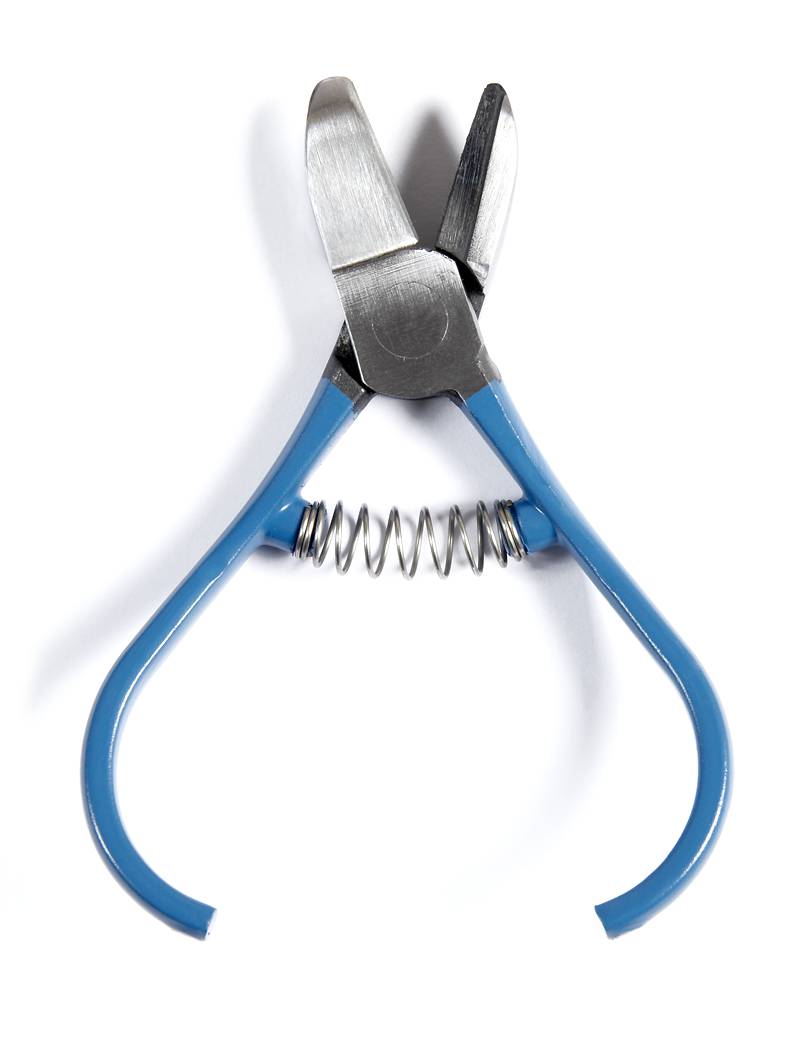 Manzana Nules Citrus Clipper M96-AM