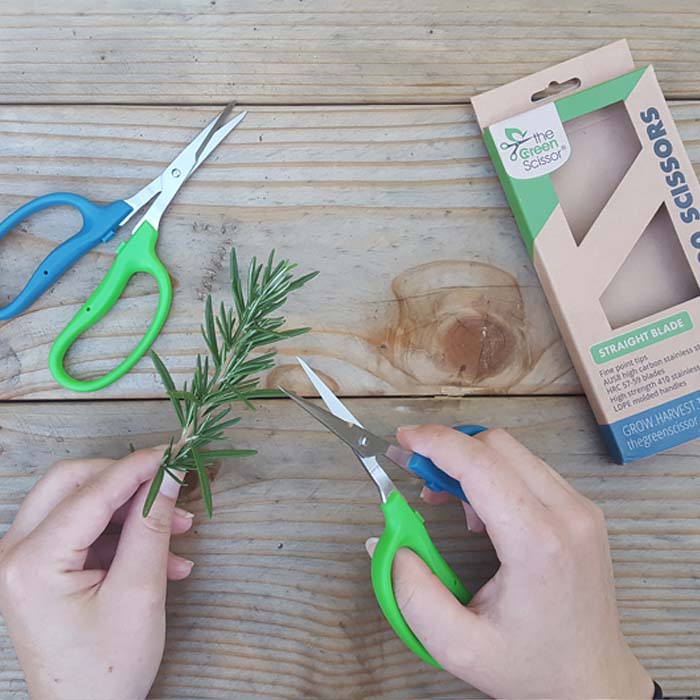 The Green Scissor SPX420 Straight Blade